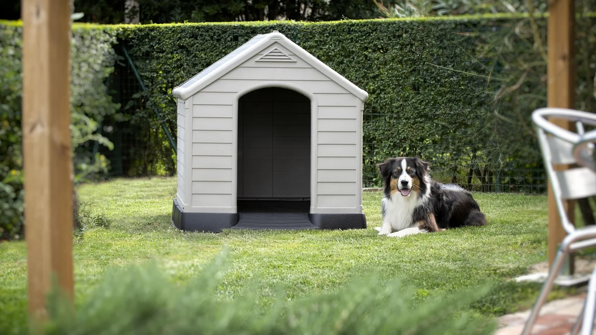 Caseta para perro grande - suelo elevado - 99cm x 95cm x 99cm