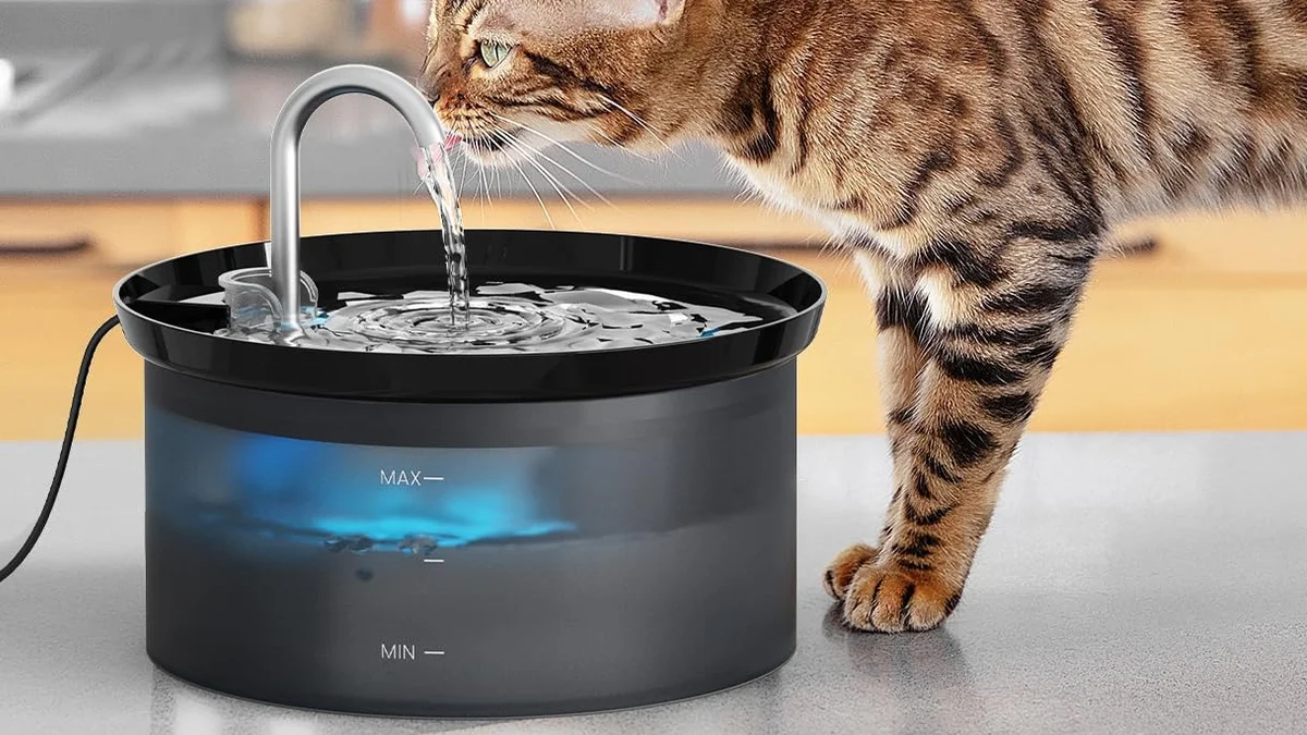 Fuente de agua para mascotas 2.5L con filtro de carbón activado