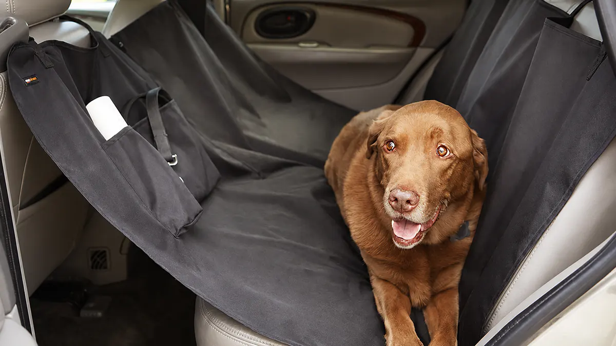 Funda de coche para perro tipo hamaca - 1.5 x 1.4m - impermeable