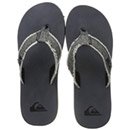 Quiksilver Monkey Abyss 