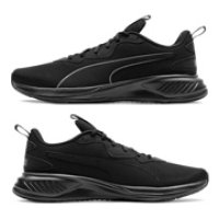 puma incinerate