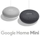 Google Home Mini