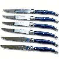 6 cuchillos de mesa con hoja 11cm Pradel Excellence