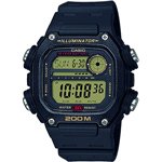 Casio DW-291H74
