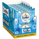 480 toallitas Scottex Fresh 