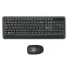 Teclado español y ratón inalámbricos