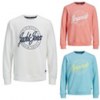 Sudadera Jack & Jones para hombre