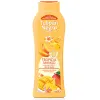 Gel de baño 650ml Tulipán Negro Tropical Mango